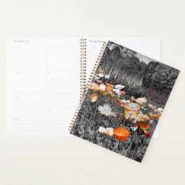 Agenda Pantalla floral Ballarat Botandens Gardens