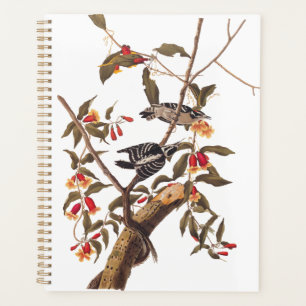 Agenda Pareja Audubon Downy Woodpecker con flores