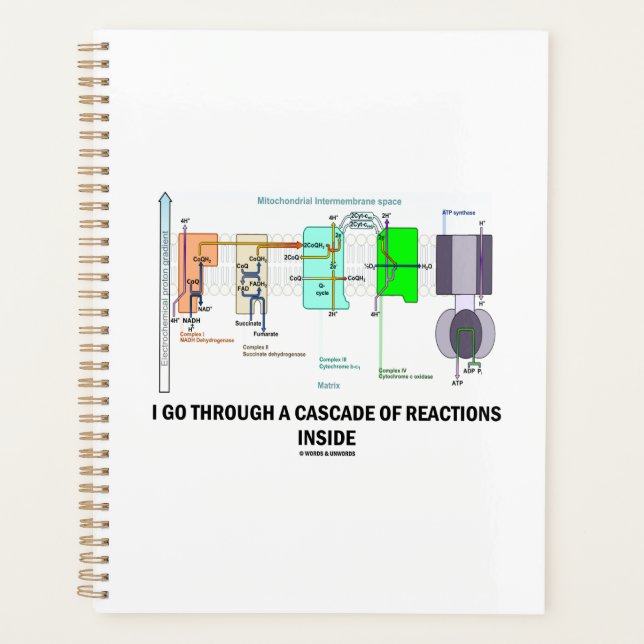 Agenda Paso Por Una Serie De Reacciones Dentro (Anverso)