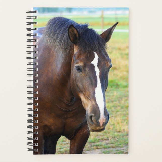 Agenda Pastel de Bonito equino de foto de caballo (Anverso)