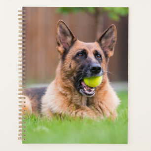 Agenda Pastor Alemán Con Pelota De Tenis