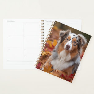 Agenda Pastor Australiano en otoño las hojas caídas inspi