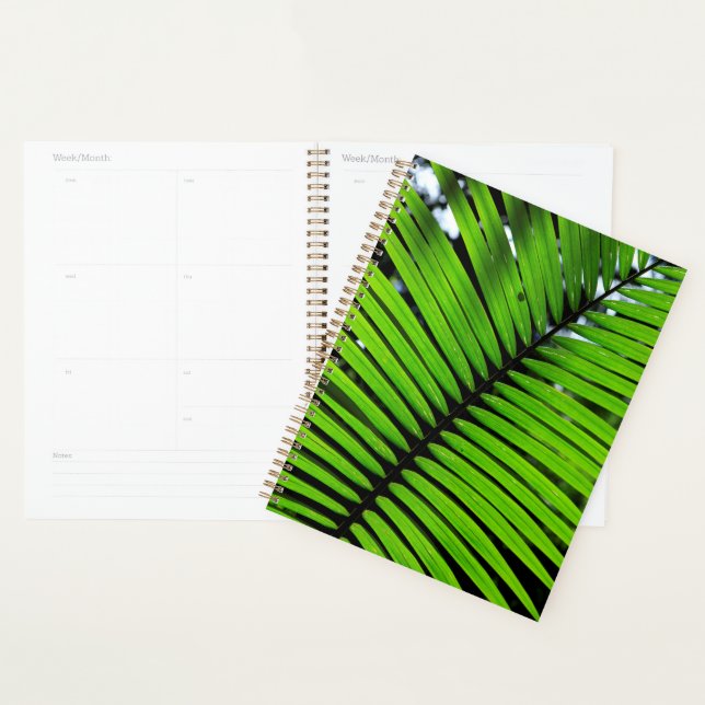 Agenda Patrón de hojas de helecho (Demostración)