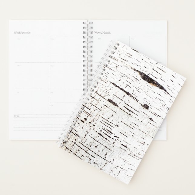 Agenda Patrón de la corteza de Birch (Demostración)