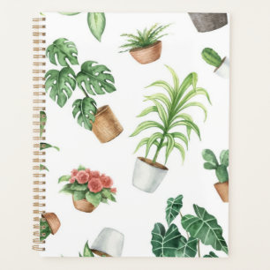 Agenda Patrón de planta