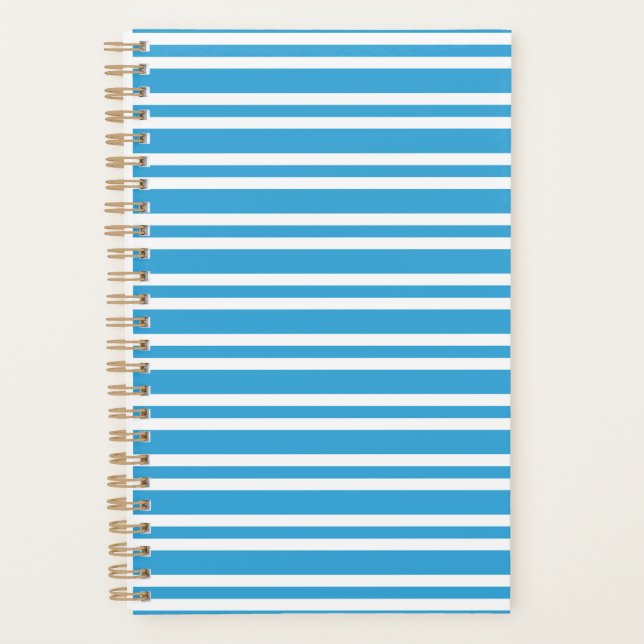 Agenda Patrón de rayas blancas y azules (Anverso)