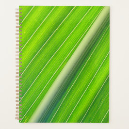 Agenda Patrón de rayas naturales verdes