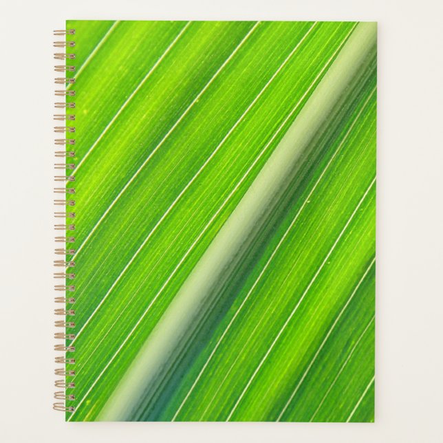 Agenda Patrón de rayas naturales verdes (Anverso)