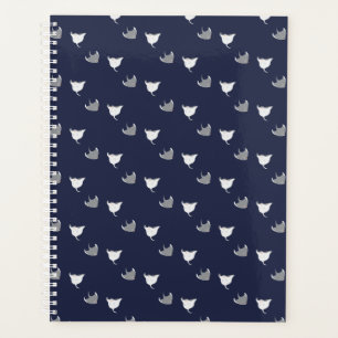 Agenda Patrón de Stingray