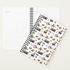 Agenda Patrón lindo con fotografías de gatos y gatitos