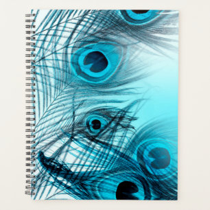 Agenda Peacock Feathers