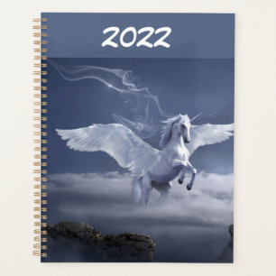 Agenda Pegasus en vuelo