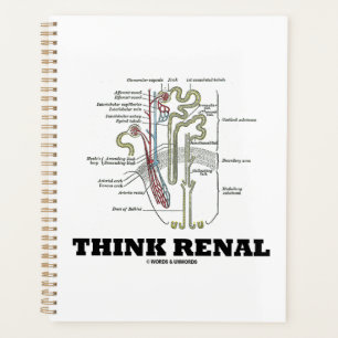 Agenda Pensar en el Riñón Renal Consejos de Nephron