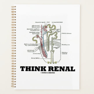 Agenda Pensar en el Riñón Renal Consejos de Nephron
