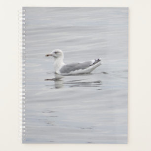 Agenda Pequeña gaviota