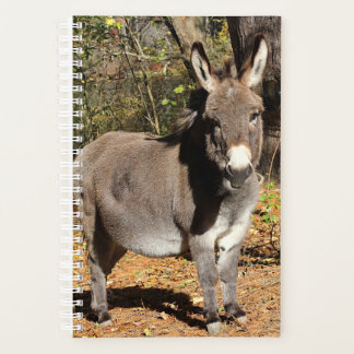 Agenda Pequeño Donkey
