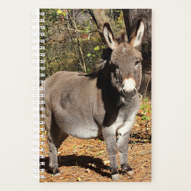 Agenda Pequeño Donkey (Anverso)