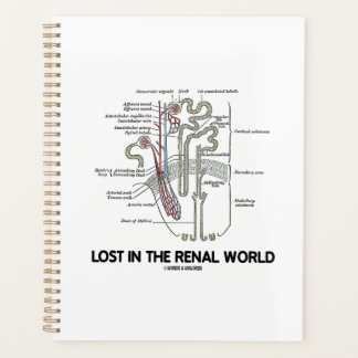 Agenda Perdido En El Mundo Renal Nefron Riñón