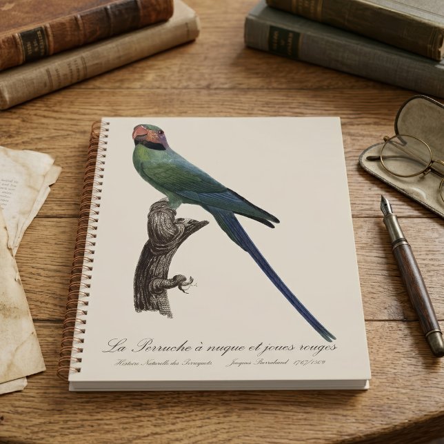 Agenda Perico Colilargo, Psittacula Longicauda (Long-Tailed Parakeet, Psittacula Longicauda. Planner)