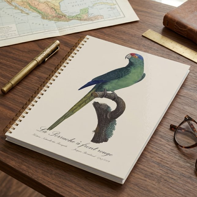 Agenda Perico Frentianaranjado, Eupsittula Canicularis (Orange-Fronted Parakeet, Eupsittula Canicularis. Planner)