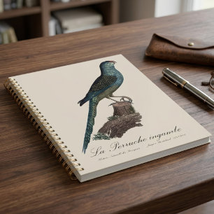 Agenda Perico Terrestre o Perico de Pantano, Pezoporus Wa