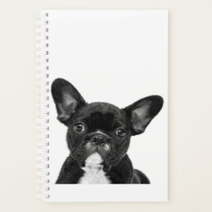 Agenda Perro Adorable   Cara de Bulldog francesa negra