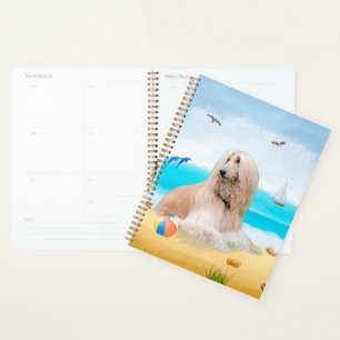 Agenda Perro afgano en la playa
