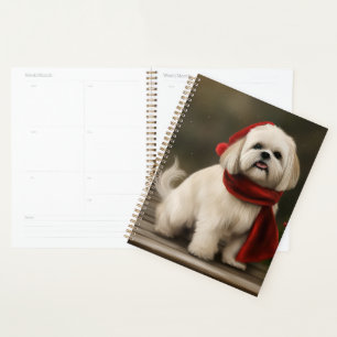 Agenda Perro Apso Lhasa en Navidades de Nieve