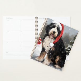 Agenda Perro Bernedoodle en Navidades de Nieve