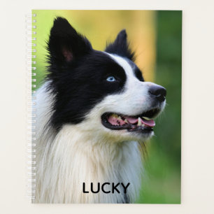 Agenda Perro collie de borde blanco y negro