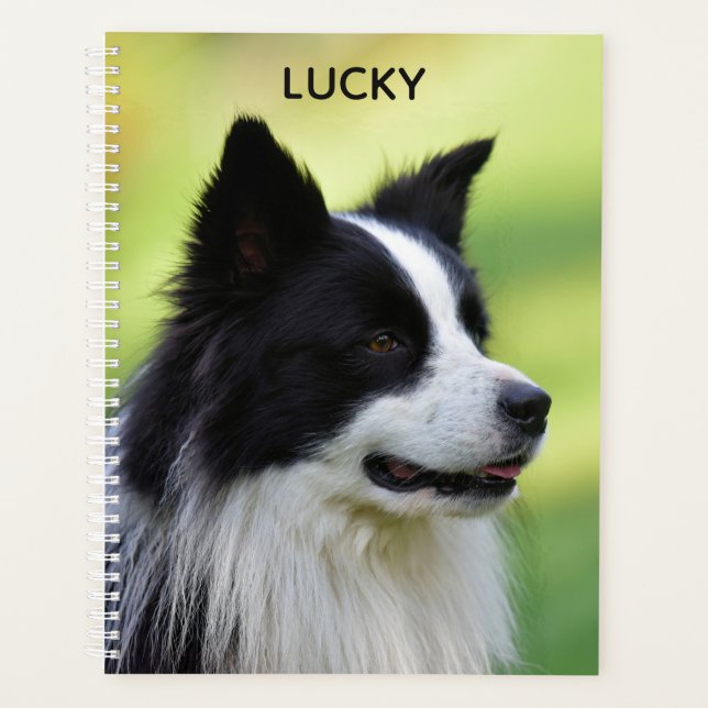 Agenda Perro collie de borde blanco y negro (Anverso)