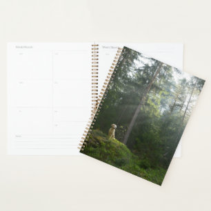 Agenda Perro de Golden Retriever   Pine Woodland