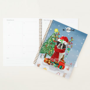 Agenda Perro de San Bernardo en Navidades de Nieve