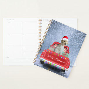Agenda Perro goldendoodle en Nieve sentado en Navidades