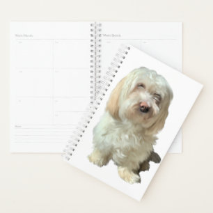 Agenda Perro Havanés de Pequeño Plano