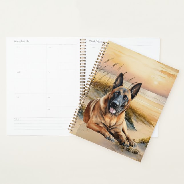 Agenda Perro Malinois Belga Ensenada de Playa Costera (Demostración)