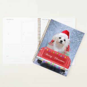 Agenda Perro maltés en nieve sentado en un camión Navidad