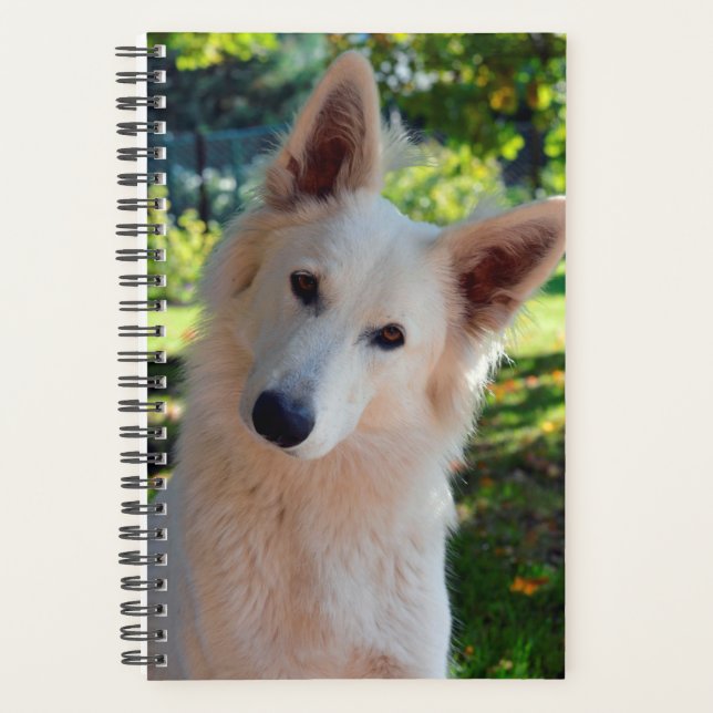 Agenda Perro Planner (Anverso)