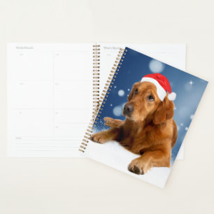 Agenda Perro Retriever Dorado Lindo Navidad Sombrero de S