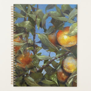 Agenda Persimmon Fruit Tree Hermosa Pintura Original
