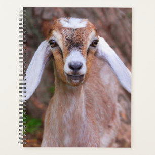 Agenda Personalizado de cabra para bebé