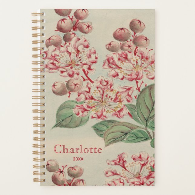 Agenda Personalizado el florecimiento de cerezo japonés v (Anverso)