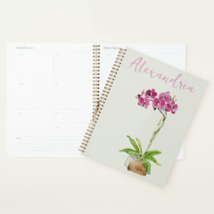 Agenda Personalizar el huerto húmedo