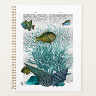 Agenda Pescado, conchas azules y corales