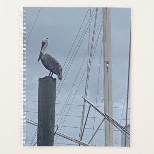 Agenda Pete the Pelican