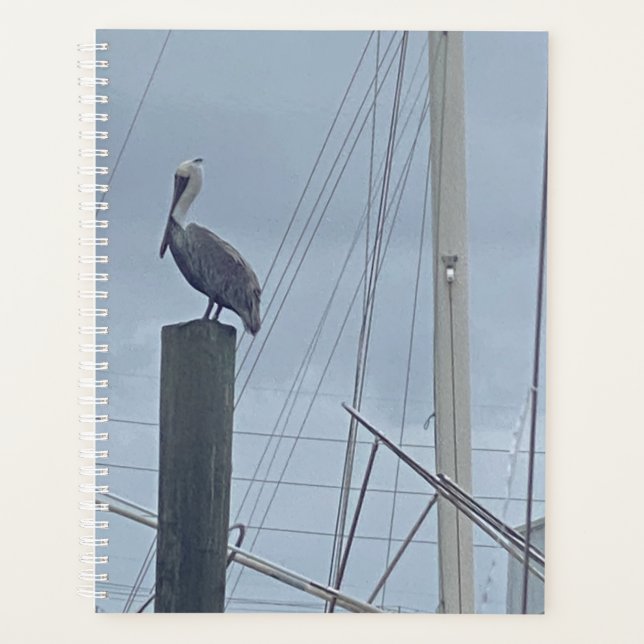 Agenda Pete the Pelican (Anverso)