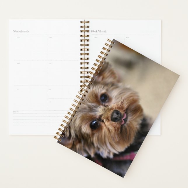 Agenda ¡Pfft! (Demostración)