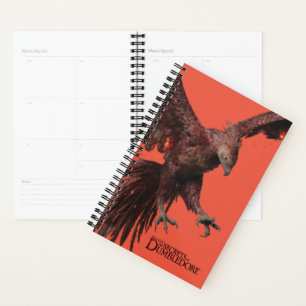 Agenda Phoenix Flying Graphic