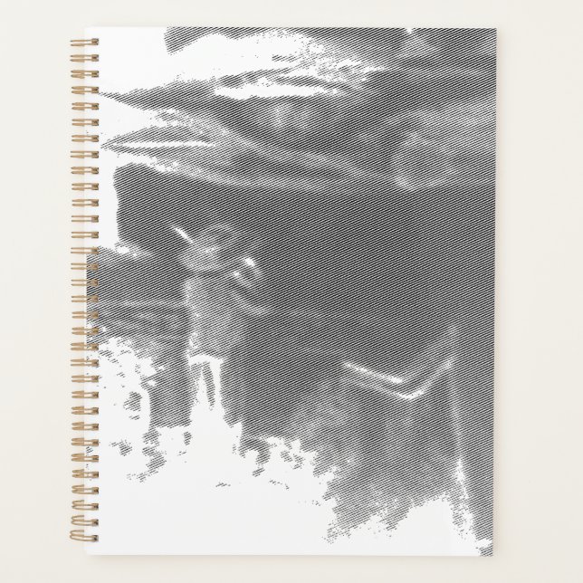 Agenda Picnic by the Seashore concert scene (Anverso)