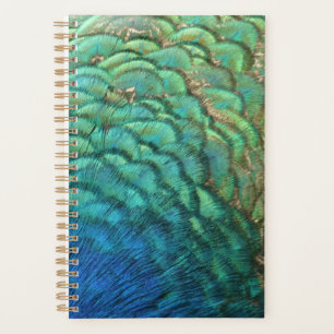 Agenda Pies de pavo real en colorido Resumen Diseño de la